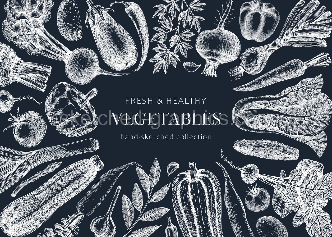 Hand-drawn vegetables vector illustrations. Hand-sketched healthy food collection. Vintage edible plants hand-drawings. Fresh vegetables sketches on chalkboard. Design elements for menu or banners Illustration